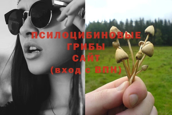 твердый Балахна