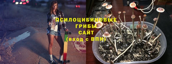 твердый Балахна