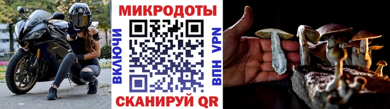 Псилоцибиновые грибы MAGIC MUSHROOMS  где купить наркоту  shop состав  Новомосковск 